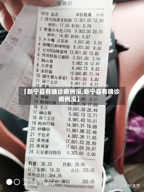 【新宁县有确诊病例没,新宁县有确诊病例没】-第3张图片