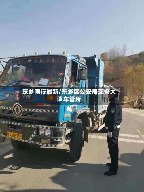 东乡限行最新/东乡区公安局交警大队车管所