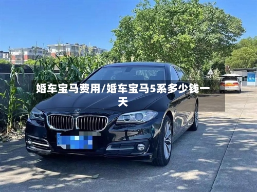 婚车宝马费用/婚车宝马5系多少钱一天-第2张图片