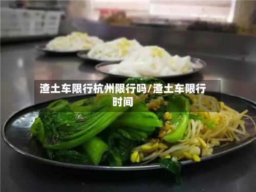渣土车限行杭州限行吗/渣土车限行时间-第2张图片
