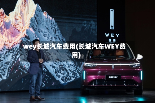 wey长城汽车费用(长城汽车WEY费用)-第3张图片