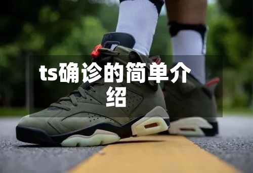ts确诊的简单介绍