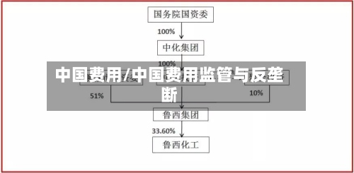 中国费用/中国费用监管与反垄断