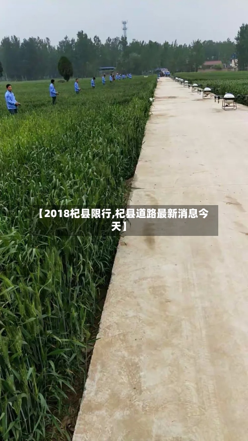 【2018杞县限行,杞县道路最新消息今天】