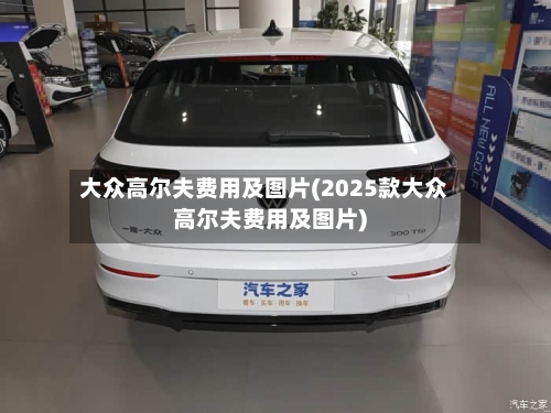 大众高尔夫费用及图片(2025款大众高尔夫费用及图片)-第3张图片