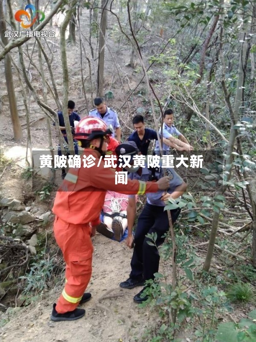 黄陂确诊/武汉黄陂重大新闻-第3张图片