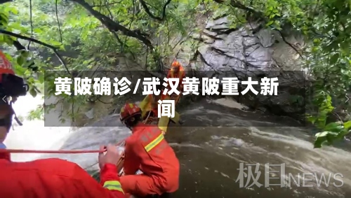 黄陂确诊/武汉黄陂重大新闻