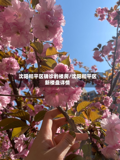 沈阳和平区确诊的楼房/沈阳和平区新楼盘详情