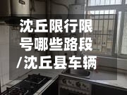 沈丘限行限号哪些路段/沈丘县车辆上牌在什么地方-第2张图片