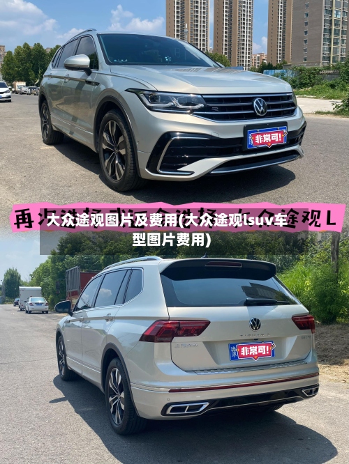 大众途观图片及费用(大众途观lsuv车型图片费用)