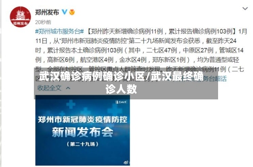武汉确诊病例确诊小区/武汉最终确诊人数