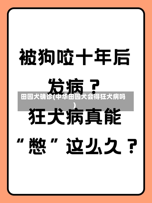 田园犬确诊(中华田园犬会得狂犬病吗)