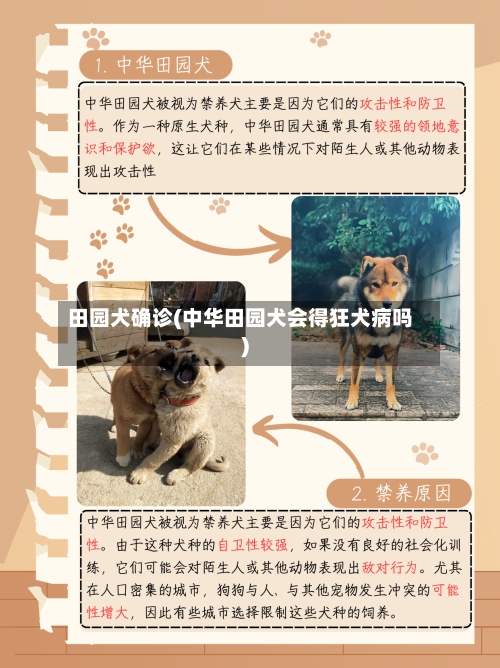 田园犬确诊(中华田园犬会得狂犬病吗)-第3张图片