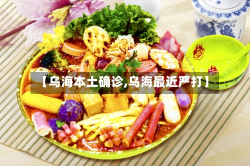 【乌海本土确诊,乌海最近严打】