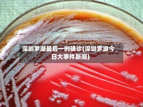 深圳罗湖最后一例确诊(深圳罗湖今日大事件新闻)