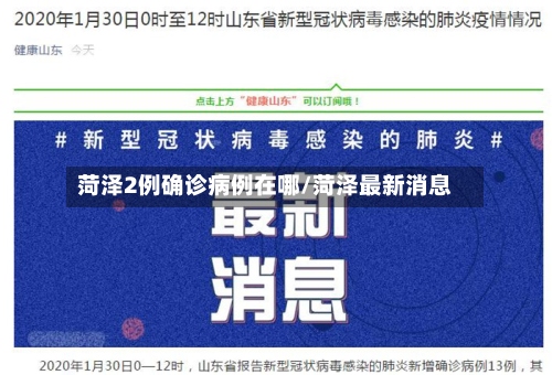 菏泽2例确诊病例在哪/菏泽最新消息-第2张图片