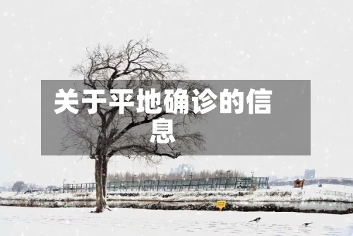 关于平地确诊的信息-第2张图片