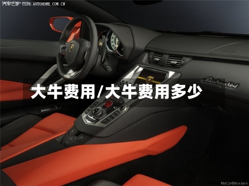 大牛费用/大牛费用多少