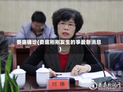 娄底确诊(娄底刚刚发生的事最新消息)-第2张图片