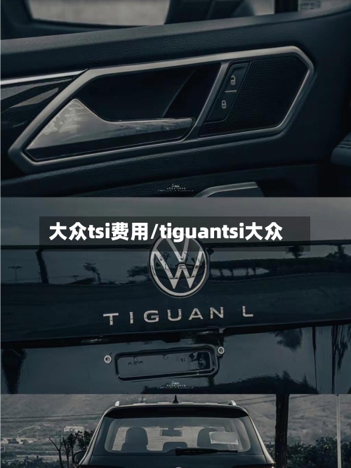 大众tsi费用/tiguantsi大众