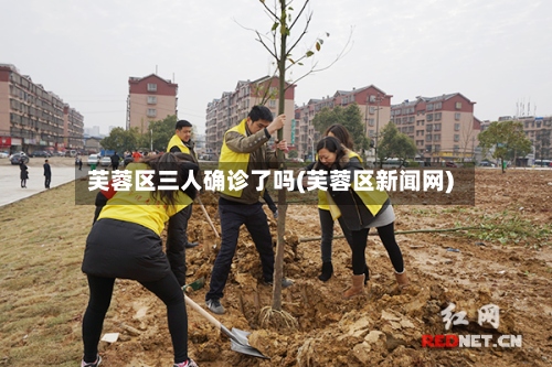 芙蓉区三人确诊了吗(芙蓉区新闻网)