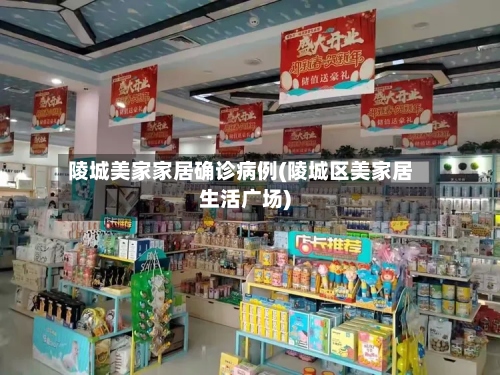 陵城美家家居确诊病例(陵城区美家居生活广场)