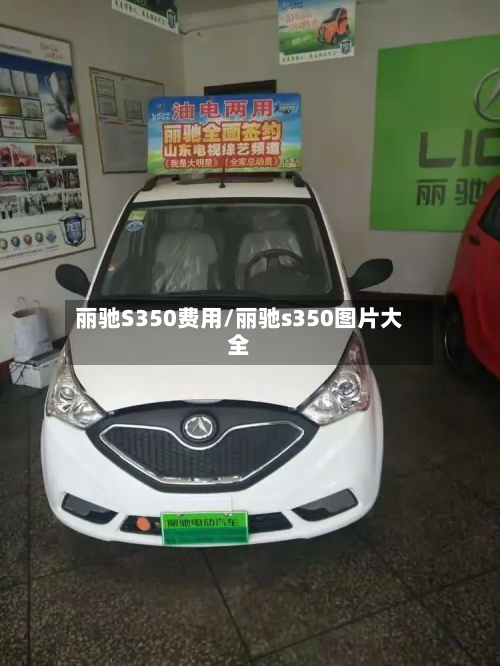 丽驰S350费用/丽驰s350图片大全