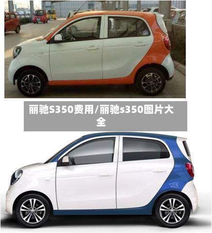 丽驰S350费用/丽驰s350图片大全-第2张图片