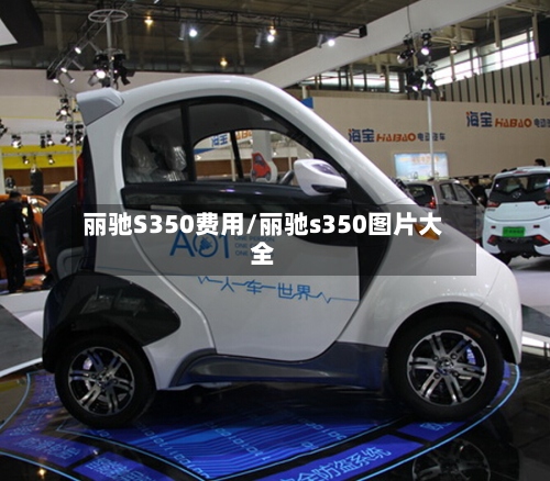 丽驰S350费用/丽驰s350图片大全-第3张图片