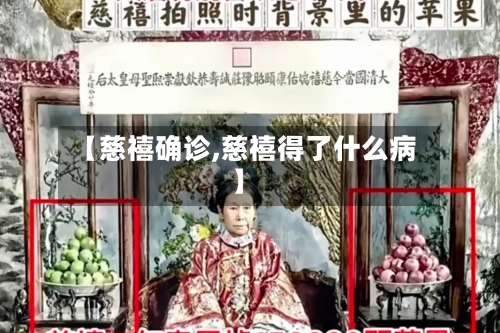 【慈禧确诊,慈禧得了什么病】