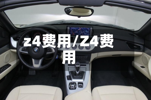 z4费用/Z4费用-第2张图片