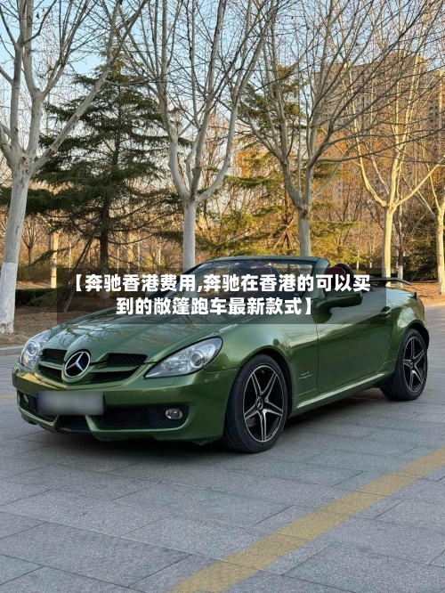 【奔驰香港费用,奔驰在香港的可以买到的敞篷跑车最新款式】-第2张图片