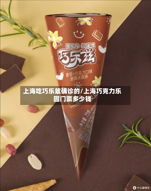 上海吃巧乐兹确诊的/上海巧克力乐园门票多少钱-第2张图片