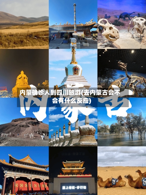 内蒙确诊人到四川旅游(去内蒙古会不会有什么反应)-第2张图片