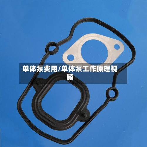 单体泵费用/单体泵工作原理视频