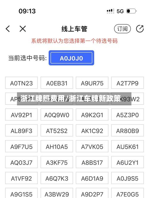 浙江牌照费用/浙江车牌新政策