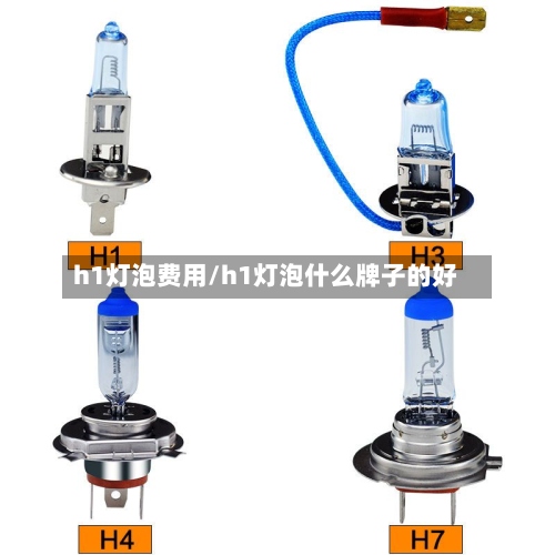 h1灯泡费用/h1灯泡什么牌子的好