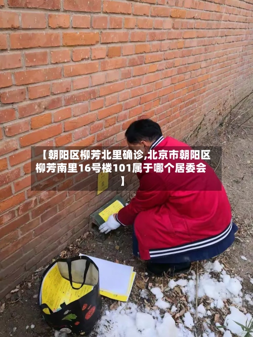 【朝阳区柳芳北里确诊,北京市朝阳区柳芳南里16号楼101属于哪个居委会】