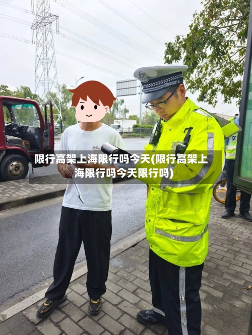 限行高架上海限行吗今天(限行高架上海限行吗今天限行吗)-第2张图片
