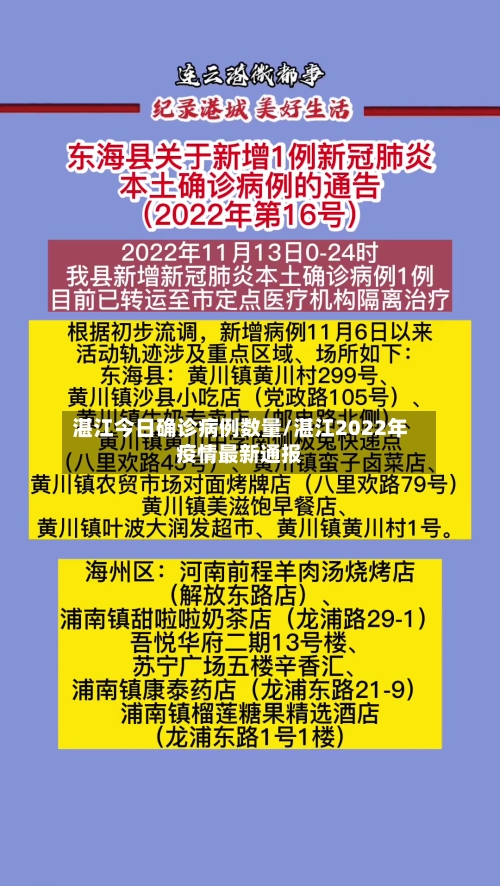 湛江今日确诊病例数量/湛江2022年疫情最新通报-第2张图片