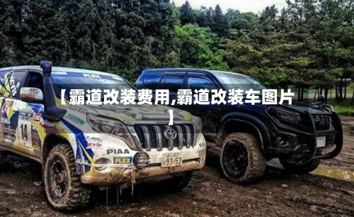 【霸道改装费用,霸道改装车图片】