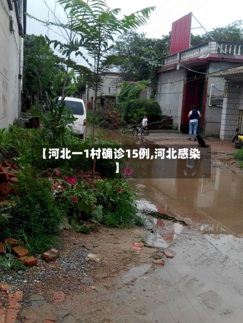 【河北一1村确诊15例,河北感染】-第3张图片