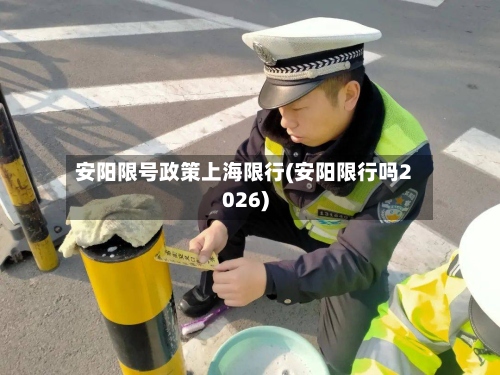 安阳限号政策上海限行(安阳限行吗2026)-第3张图片