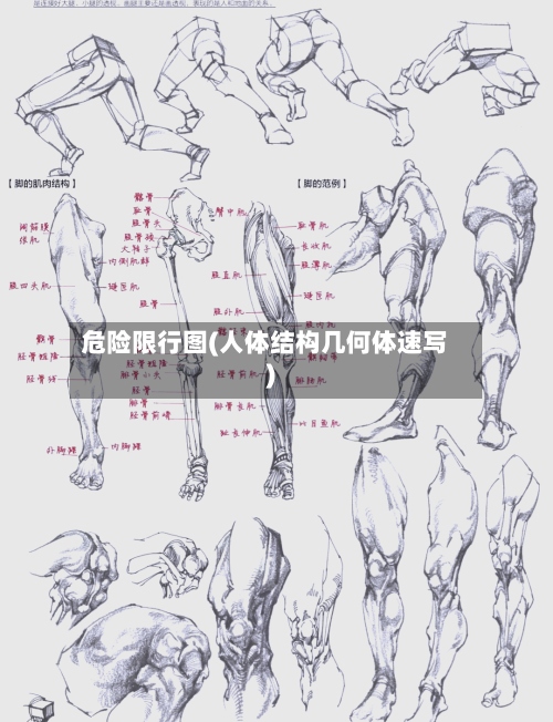 危险限行图(人体结构几何体速写)