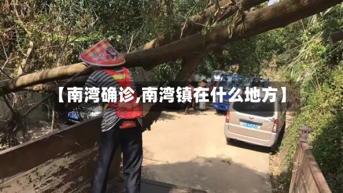 【南湾确诊,南湾镇在什么地方】