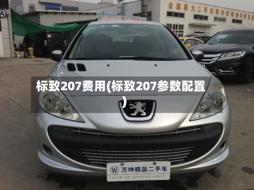 标致207费用(标致207参数配置)-第3张图片