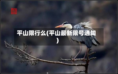 平山限行么(平山最新限号通知)-第2张图片