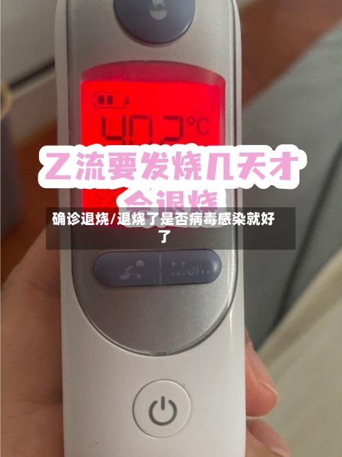 确诊退烧/退烧了是否病毒感染就好了-第3张图片