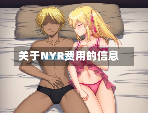 关于NYR费用的信息-第3张图片
