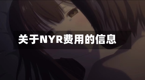 关于NYR费用的信息-第2张图片